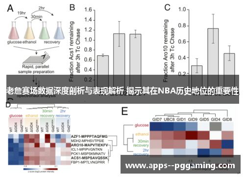老詹赛场数据深度剖析与表现解析 揭示其在NBA历史地位的重要性 老詹赛场数据深度剖析与表现解析 揭示其在NBA历史地位的重要性