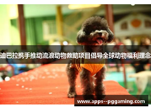 迪巴拉携手推动流浪动物救助项目倡导全球动物福利理念