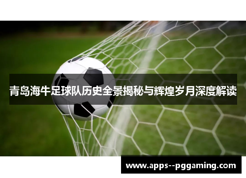 青岛海牛足球队历史全景揭秘与辉煌岁月深度解读