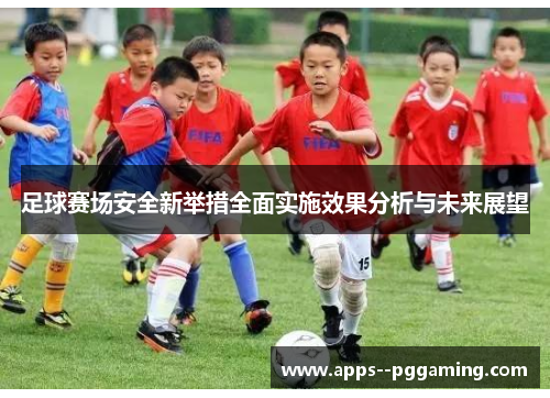 足球赛场安全新举措全面实施效果分析与未来展望