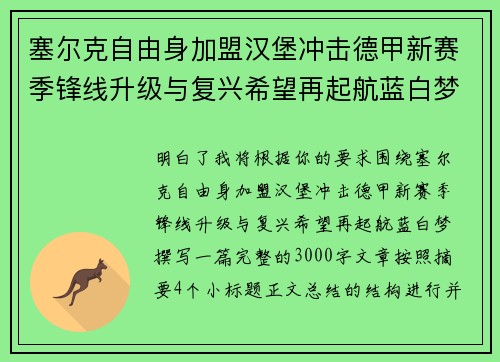 塞尔克自由身加盟汉堡冲击德甲新赛季锋线升级与复兴希望再起航蓝白梦