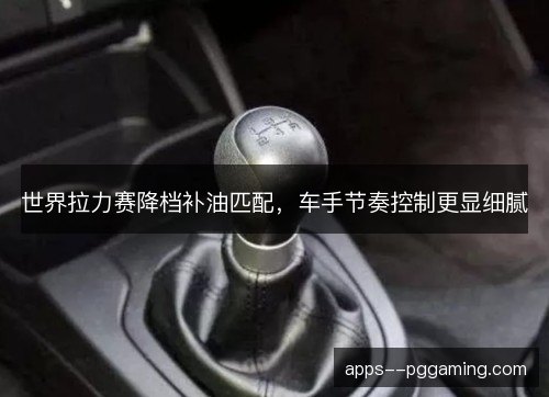 世界拉力赛降档补油匹配，车手节奏控制更显细腻